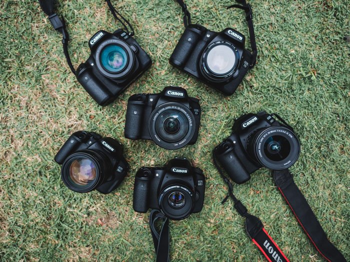 audición Puntero comercio Canon vs. Nikon vs. Sony (¿Cuál es la mejor marca de cámaras?) -  Fotoguias.com