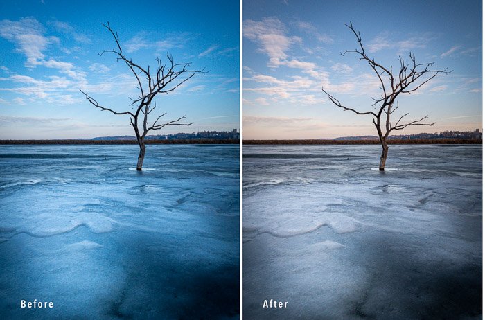 Díptico de comparación de dos fotos de un árbol de hielo para mostrar la temperatura de color.
