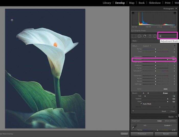 Captura de pantalla del uso del pincel de contraste en Lightroom para el contraste en la fotografía