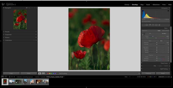 Captura de pantalla que muestra cómo corregir una foto subexpuesta en Lightroom