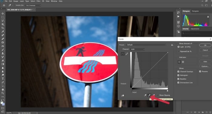 Una captura de pantalla de la configuración del punto gris en Photoshop