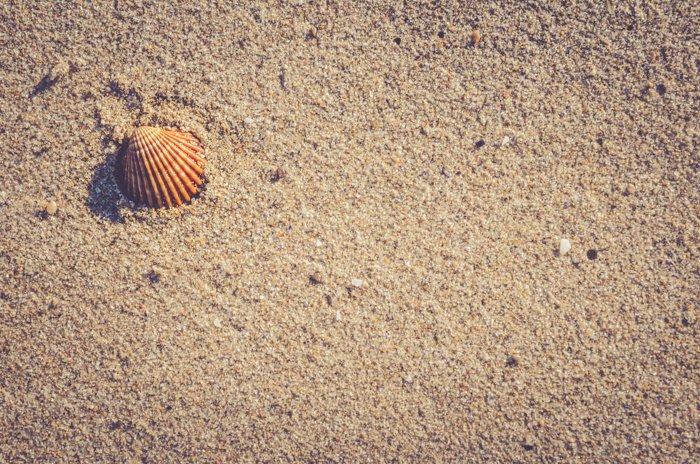 Fotografía cenital de una concha en la arena, ideas creativas para fotografías de playa.