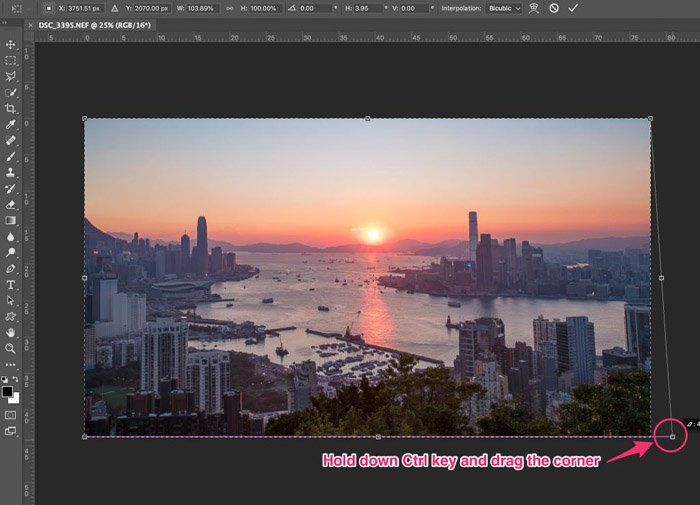 Una captura de pantalla de la elección de la herramienta de transformación para recortar fotografías en Photoshop