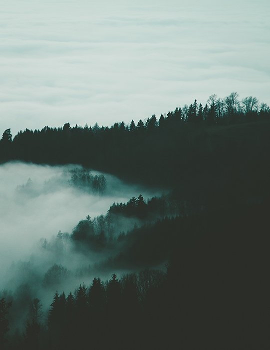 Una imagen oscura de un bosque de silueta con nubes.