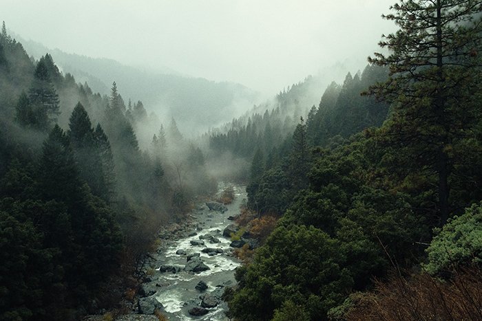 Foto de paisaje cambiante de un bosque con un río