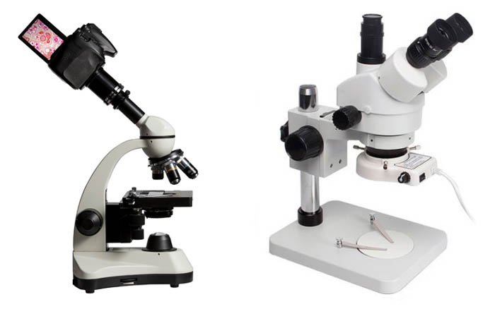 Dos microscopios de fotografía de primer plano sobre fondo blanco.