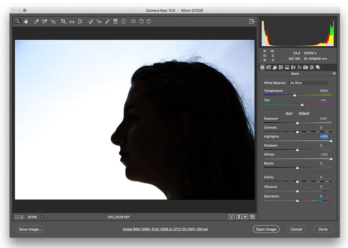 Una captura de pantalla que muestra cómo crear un efecto de doble exposición en Adobe Photoshop
