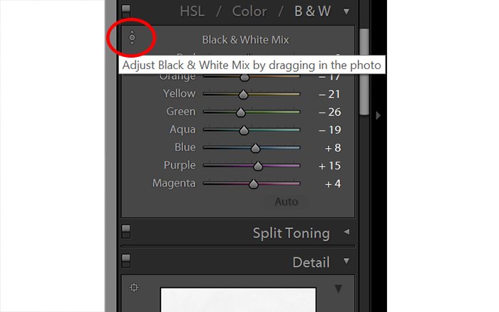 Captura de pantalla de edición de fotos en blanco y negro en Lightroom