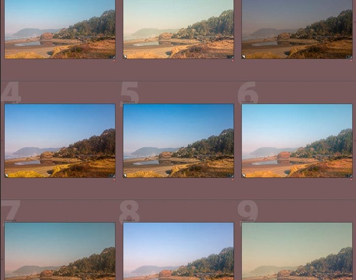 Una captura de pantalla de la edición de una foto de Instagram en Lightroom: la misma foto con 9 ajustes preestablecidos diferentes aplicados.