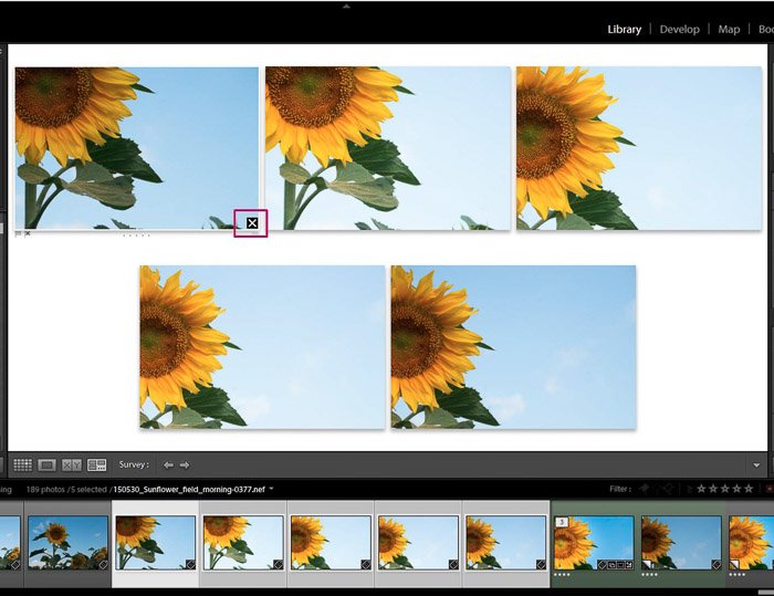 Captura de pantalla de edición de fotografías de flores en Adobe Lightroom: eliminación de modos de vista de edición de Lightroom