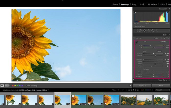 Captura de pantalla de Adobe Lightroom editando fotografía de flores - Panel de ajustes globales de Lightroom