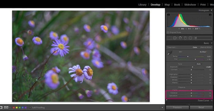 Captura de pantalla de Adobe Lightroom editando fotografía de flores - Consejos de edición de Lightroom