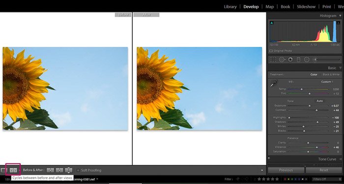 Captura de pantalla de Adobe Lightroom editando fotografía de flores - Comparación de modos de vista de edición de Lightroom
