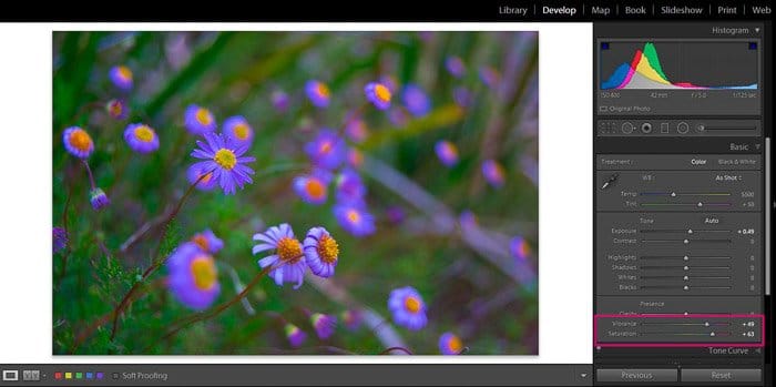 Captura de pantalla de Adobe Lightroom editando fotografía de flores - Consejos de edición de Lightroom