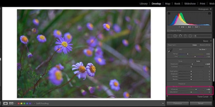 Captura de pantalla de Adobe Lightroom editando fotografía de flores - Lightroom editando vitalidad