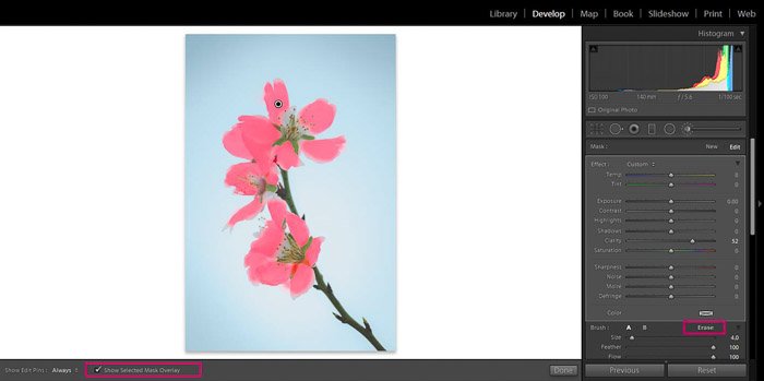 Screenshot of Adobe Lightroom editing flower photography - Lightroom editing view modes -mask overlay