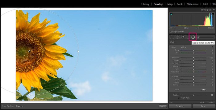 Screenshot of Adobe Lightroom editing flower photography - Lightroom filter lightroom