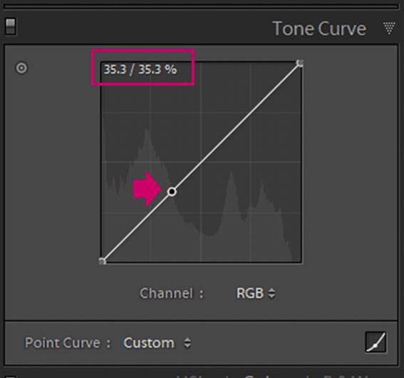 Screenshot of Adobe Lightroom editing flower photography - Lightroom tone curve fix point