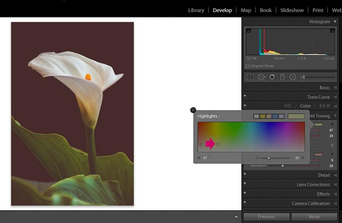 Screenshot of Adobe Lightroom highlighting panel for editing flower photography
