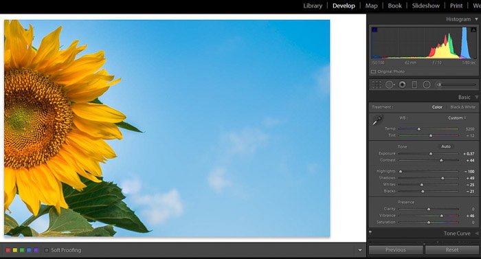 Screenshot of Adobe Lightroom spot removal tool for editing flower photography - final image - Lightroom editing tips
