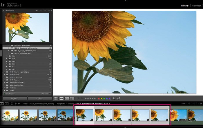Screenshop de Adobe Lightroom abierto en una foto de una flor - Consejos de edición de Lightroom