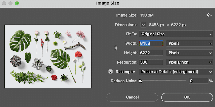 Cuadro de tamaño de imagen en Lightroom que muestra opciones para ampliar la foto de las hojas