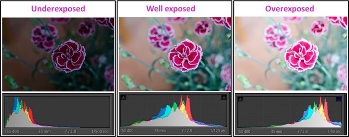 Tres imágenes de flores tomadas con diferentes ajustes de exposición.