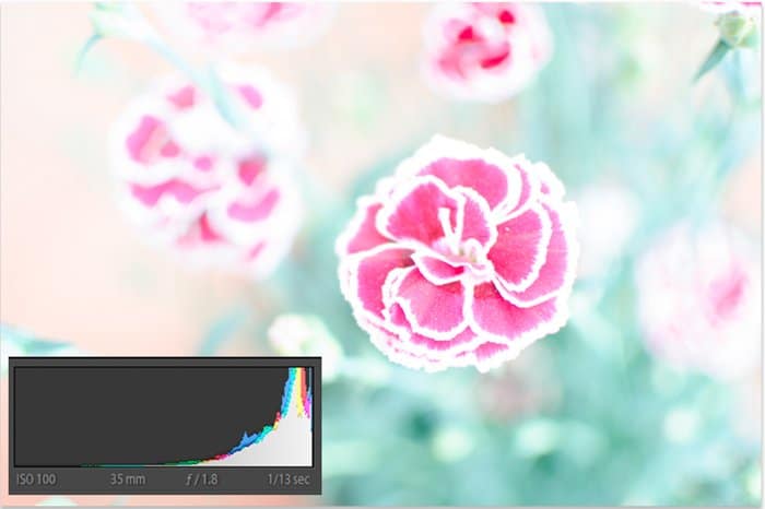 Una imagen de flor subexpuesta con histograma