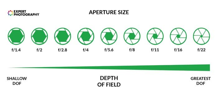 Un diagrama que muestra cómo funcionan juntos el tamaño de apertura, el diafragma y la profundidad de campo