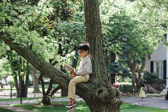 Un retrato al aire libre de un niño sentado en un árbol: ideas de fotos familiares para inspiraciones