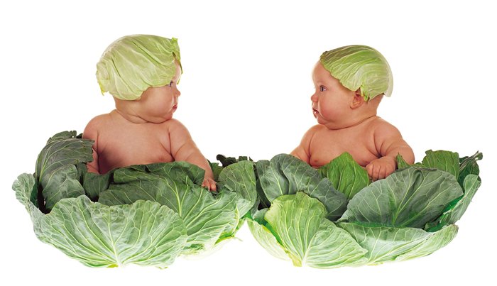 Anne Geddes retrato de dos bebés vestidos como coles