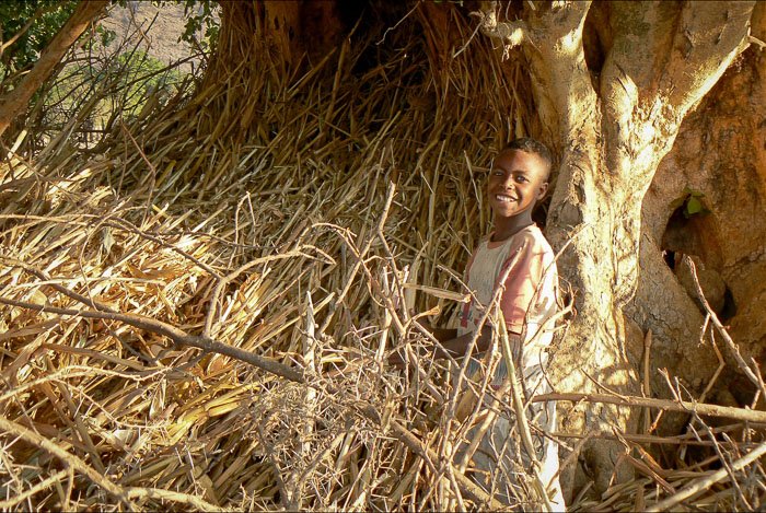 Retrato de un joven agricultor parado frente a un árbol: encuentre un reparador para una mejor fotografía de viaje