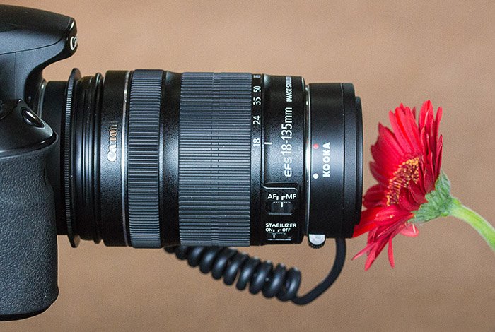 Una cámara DSLR tomando una fotografía macro de una flor roja