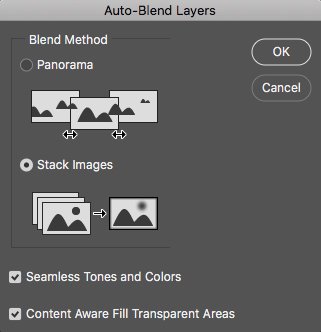 Captura de pantalla de cómo fusionar capas automáticamente en Photoshop para fotografía macro