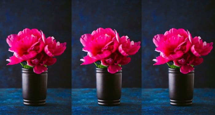 Tríptico de una maceta de flores rosas tomadas en diferentes puntos de enfoque 