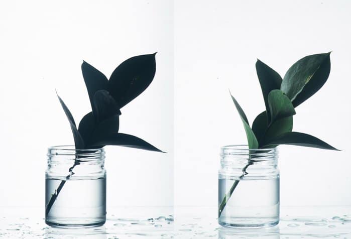 Díptico de fotografía en vidrio comparando fotos tomadas con y sin otra fuente de luz