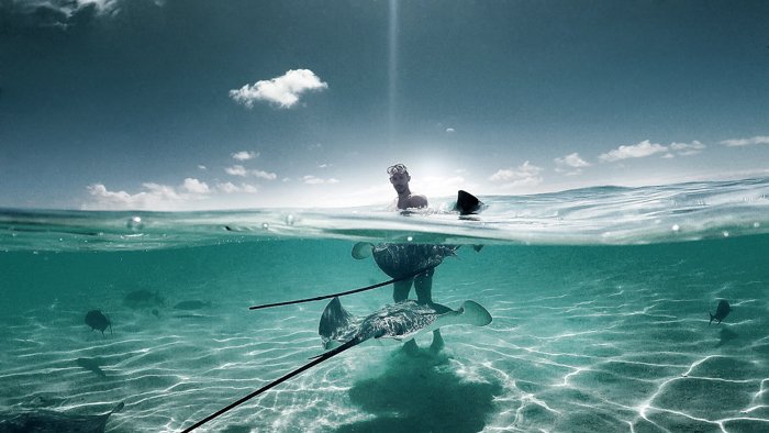 Una foto de un hombre en el océano rodeado de vida acuática, tomada con una GoPro