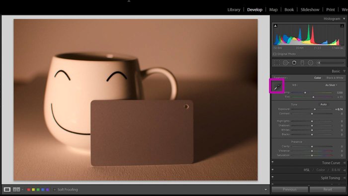 Una captura de pantalla que muestra cómo usar una tarjeta gris para la corrección de color en Lightroom: seleccione la herramienta cuentagotas