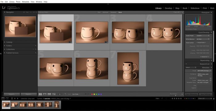 Una captura de pantalla que muestra cómo usar una tarjeta gris para la corrección de color en Lightroom: importar fotos