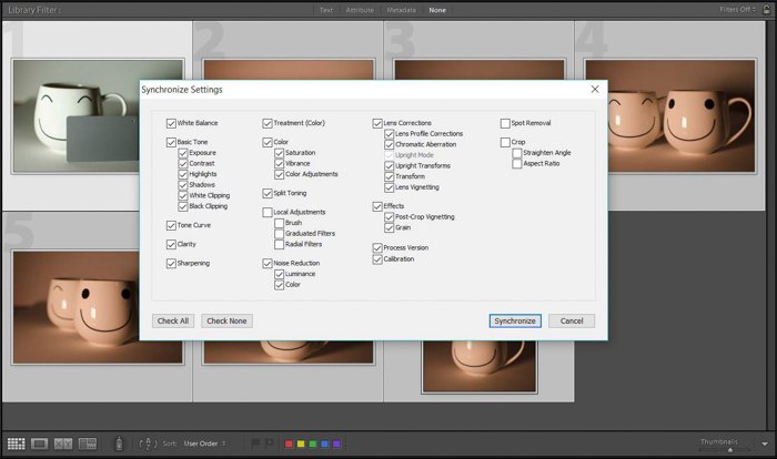 Una captura de pantalla que muestra cómo usar una tarjeta gris para la corrección de color en Lightroom: sincronizar la configuración