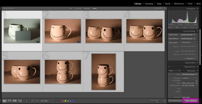 Una captura de pantalla que muestra cómo usar una tarjeta gris para la corrección de color en Lightroom: configuración de sincronización
