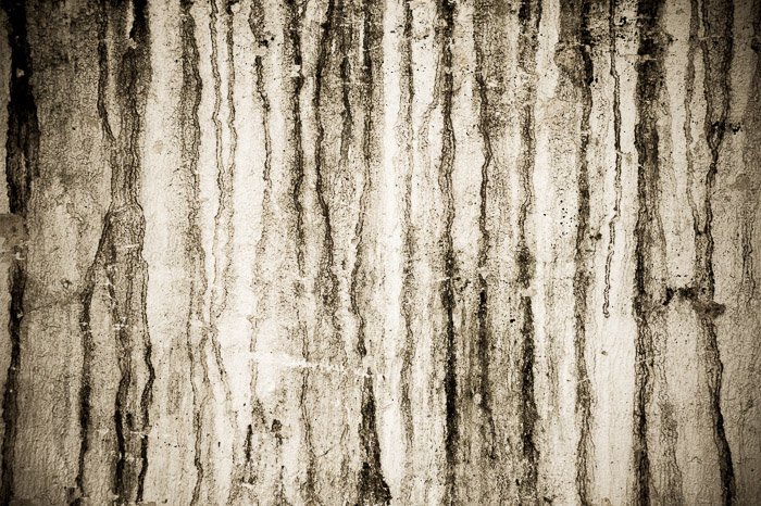 Un fondo grunge de madera granulada - fotos vanguardistas