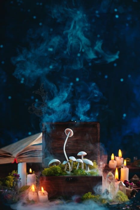 Bodegón atmosférico con una caja de champiñones, humo, velas y otros espeluznantes accesorios fotográficos de Halloween sobre un fondo oscuro
