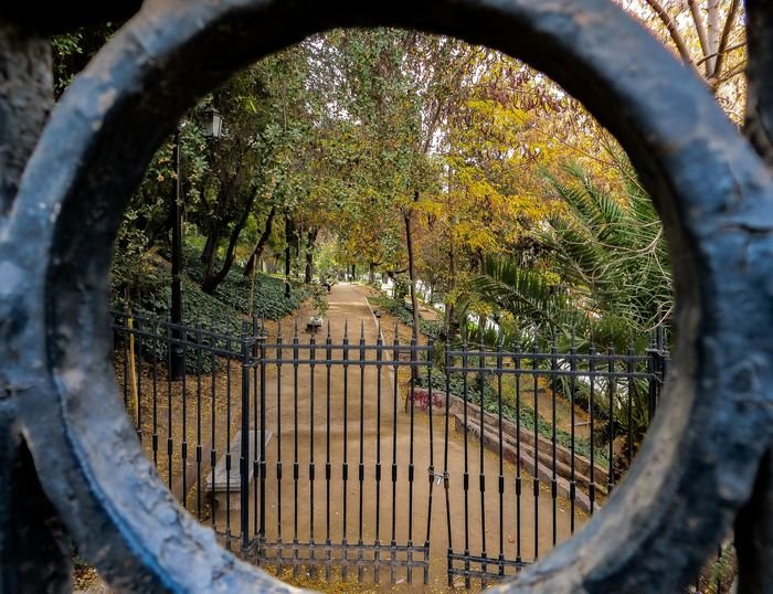 Foto de un parque visto a través de una parte circular de una puerta en primer plano como un marco dentro de un marco