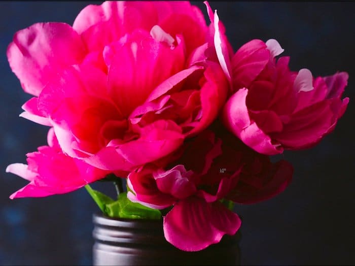 Una imagen de unas flores de tela rosa tomadas con un objetivo macro de 100 mm de Canon