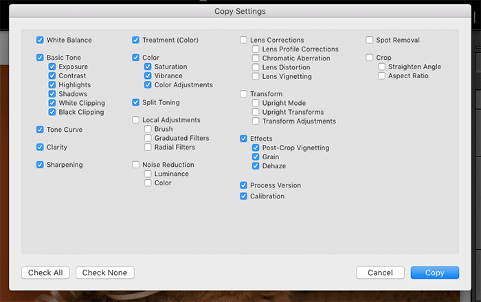 Una captura de pantalla de la configuración de copia en Lightroom
