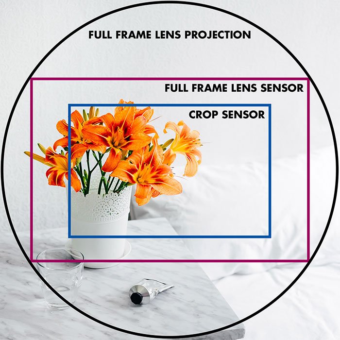 Una imagen de flores naranjas y texto que ilustra el encuadre del sensor de recorte y de fotograma completo dentro de una proyección de lente de fotograma completo usando un círculo y rectángulos