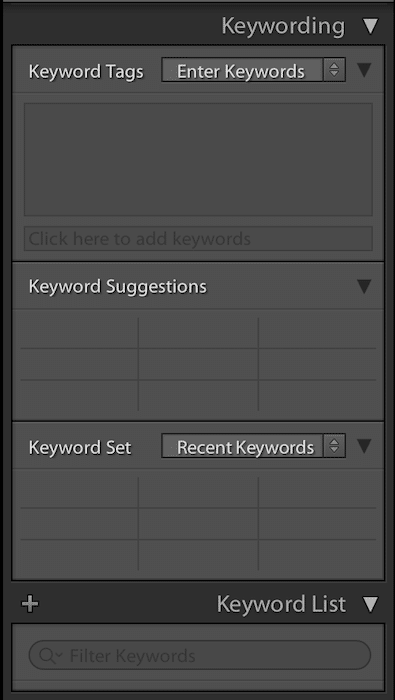 función de palabras clave en Adobe Lightroom con sugerencias de palabras clave y lista de palabras clave