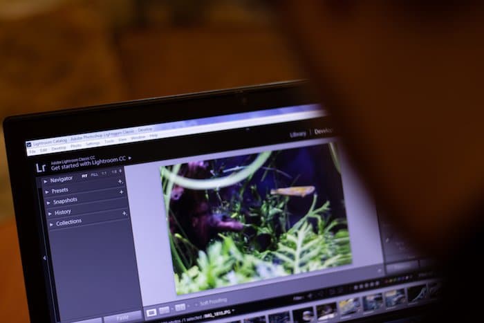 un fotógrafo edita una imagen en una computadora portátil