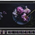 Captura de pantalla del catálogo de Lightroom